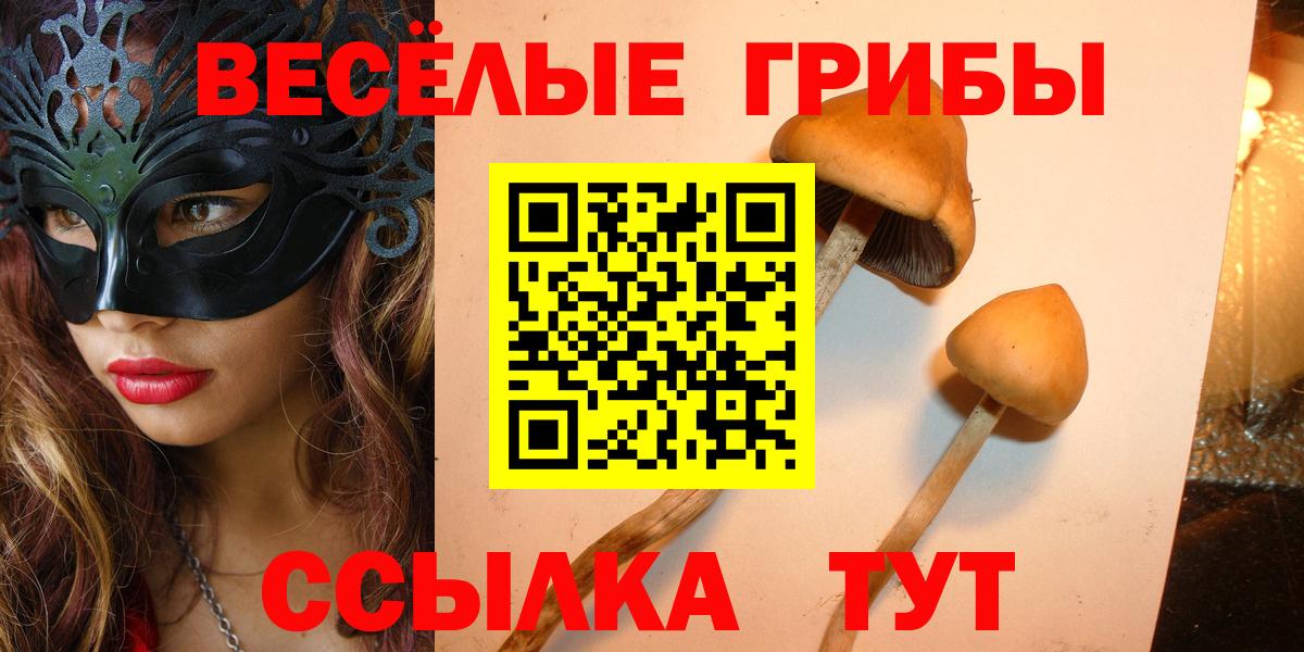 Галлюциногенные грибы MAGIC MUSHROOMS Татарск