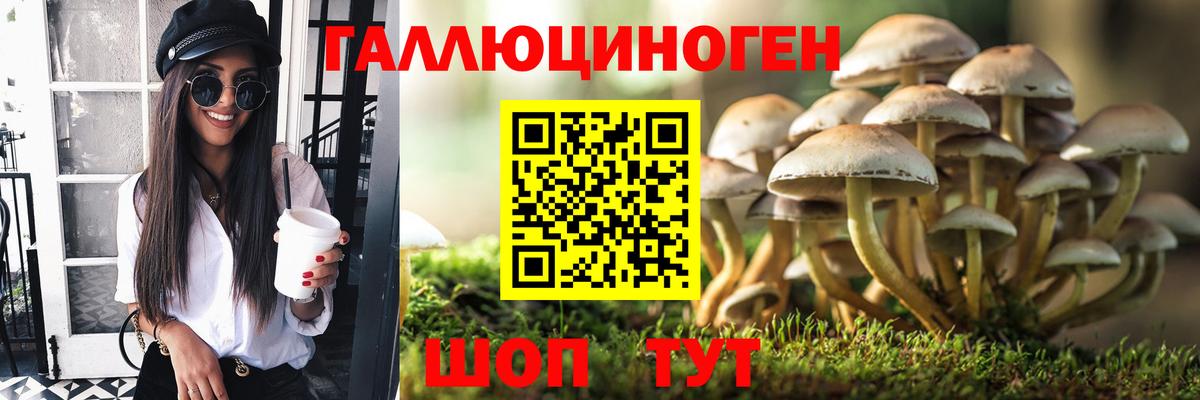 Татарск  Галлюциногенные грибы GOLDEN TEACHER  цены   Вход с VPN 